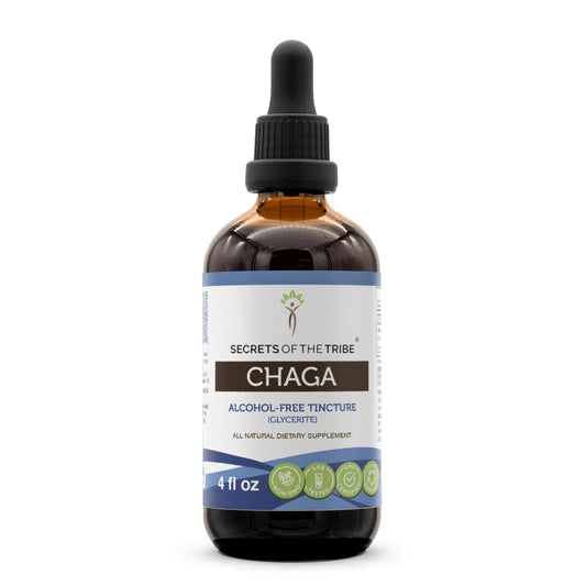 Secrets of the Tribe Chaga tincture bottle, alcohol-free extract, for daily use and easy absorption.