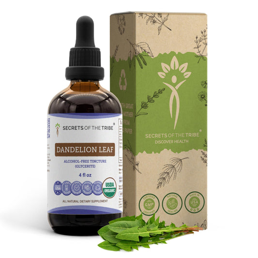 Secrets of the Tribe Dandelion Leaf tincture bottle shows USDA Organic, alcohol-free extract for daily use.