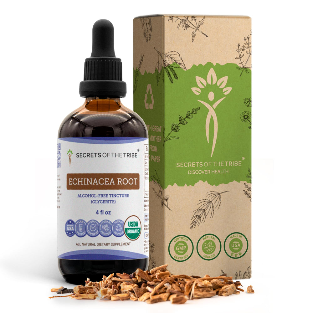 Secrets of the Tribe Echinacea Root Tincture bottle for daily plant-based support.