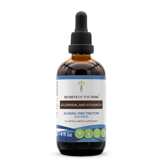 Secrets of the Tribe goldenseal-echinacea bottle pour, a clear tincture for daily wellness.