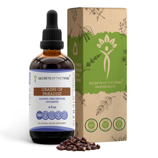 Secrets of the Tribe grains of paradise tincture bottle shows authentic plant extract for daily digestive balance.