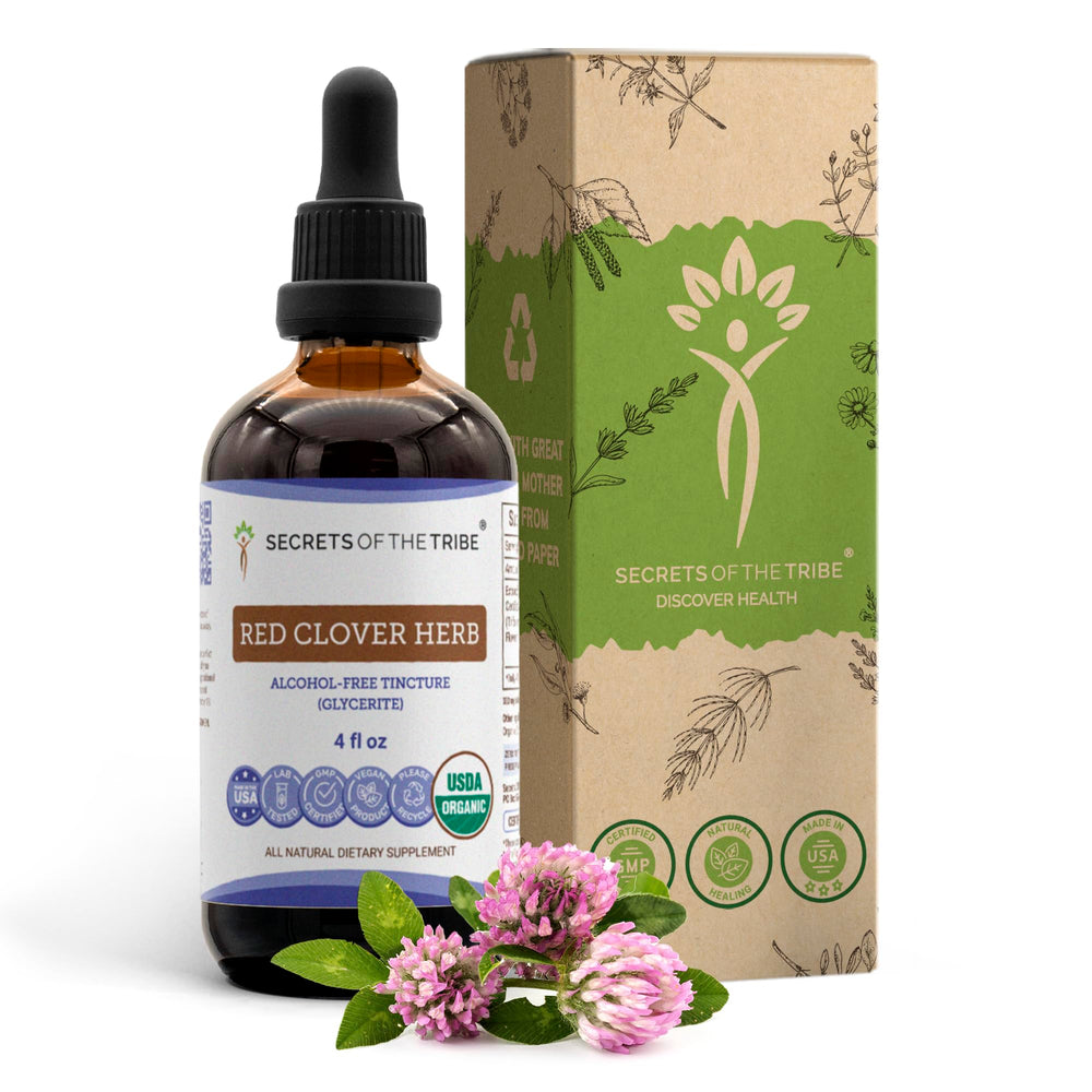 Secrets of the Tribe red clover tincture bottle on a clean surface for daily wellness.
