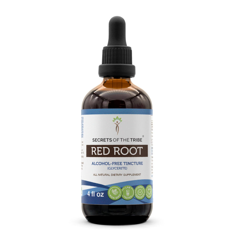 Secrets of the Tribe Red Root tincture bottle with dropper for precise dosing.