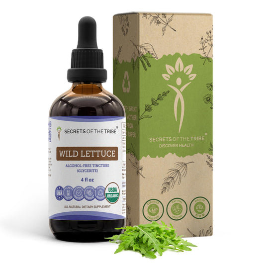 Secrets of the Tribe wild lettuce tincture bottle with dropper for easy, alcohol-free use