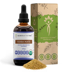 Secrets of the Tribe Yerba Mate tincture bottle enables convenient, organic, high-potency drops for natural vitality.