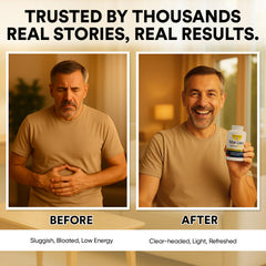 See Yourself Well Total Liver Health dandelion ingredients close-up for digestion aid.