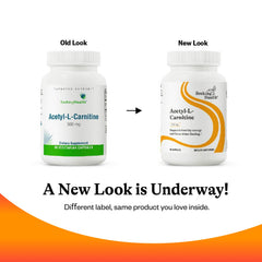 Seeking Health Acetyl-L-Carnitine energy-boost concept visual supporting daily vitality.