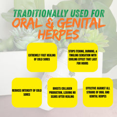Seijaku oral sore application demonstrates easy topical use at tingling onset