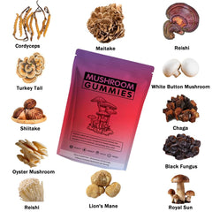 Seodon Lions Mane gummy closeup highlights cognitive support potential.