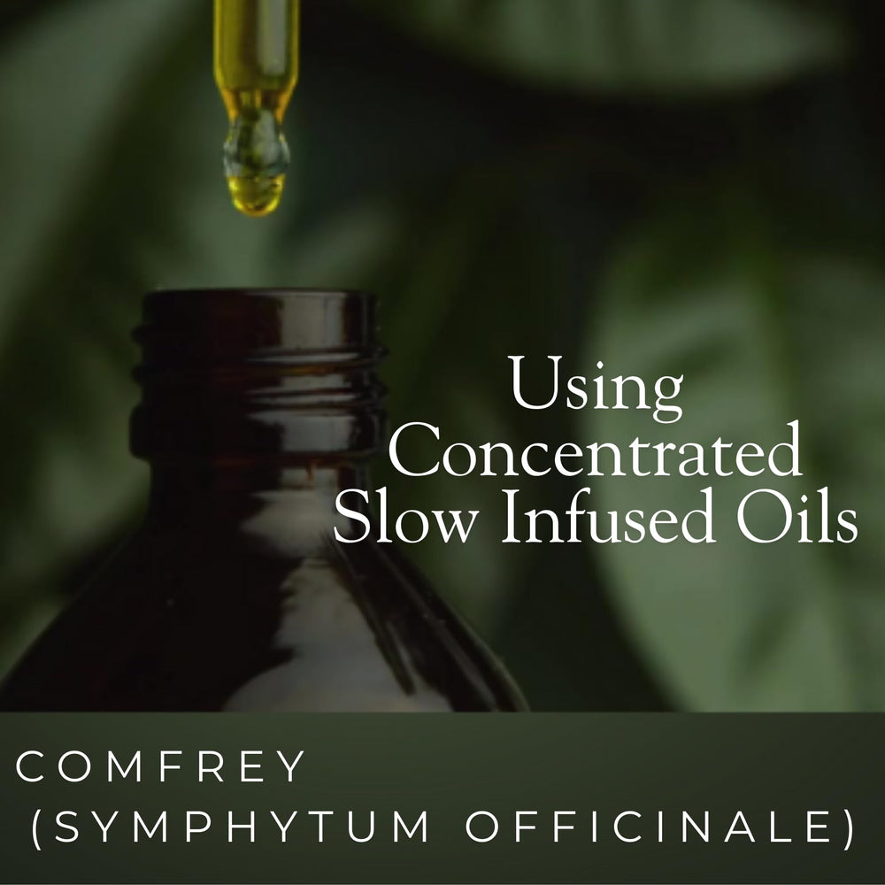 Serendipitous Summer Farms comfrey salve texture closeup showcases rich herbal blend