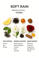 SevenAromas spa wellness diffusion visual suggests relaxing aromatherapy in spa spaces.
