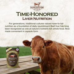 Shawneehaw Cattle energy-support capsules ready for active days.