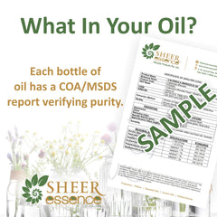 Sheer Essence Arnica Oil for DIY skincare projects and blends