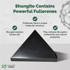 Shungite World pyramid contrasts dark stone textures for dramatic zen decor.