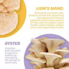 Close-up of ingredients label featuring mushroom blends and botanicals.