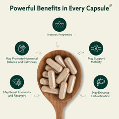 SIMPLEME black seed extract capsules with label indicating digestive support.