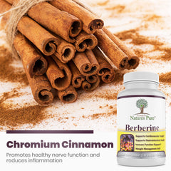 Hands holding Simply Natures Pure Berberine capsules show easy dosing.