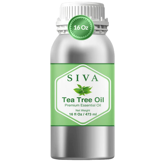 SIVA Tea Tree Oil bottle 16 oz ready for diffusion and care.