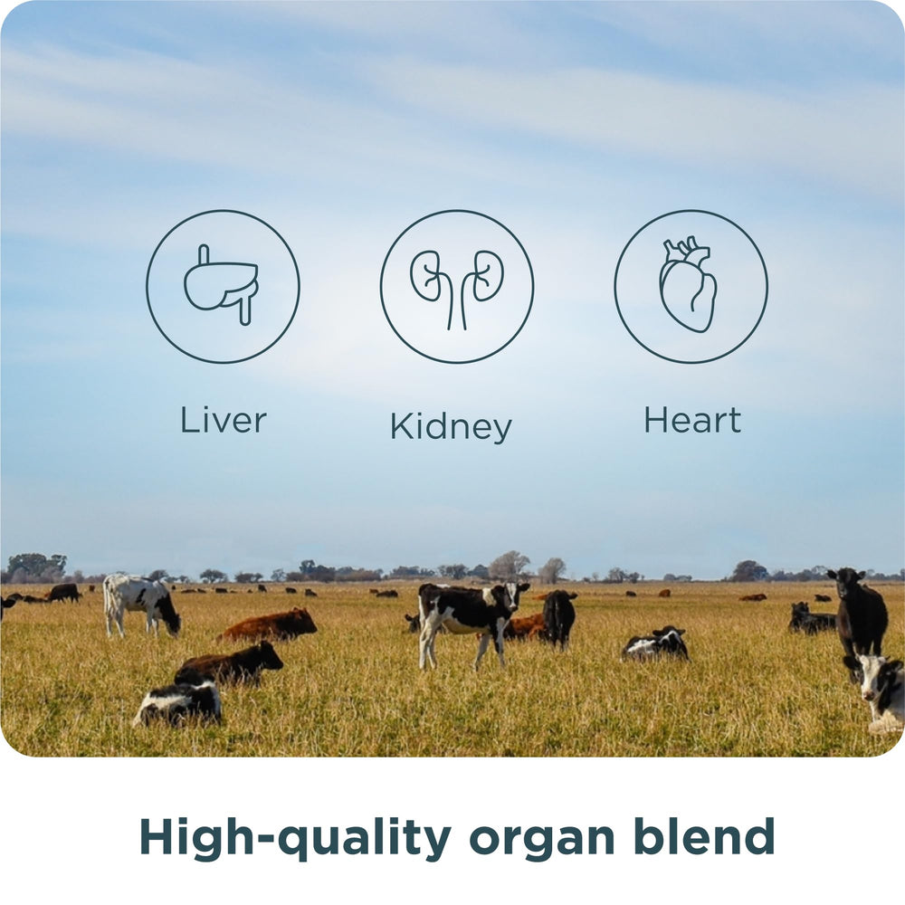 Ancient Nutrition six-kingdom health benefits graphic highlights broad wellness ideas.