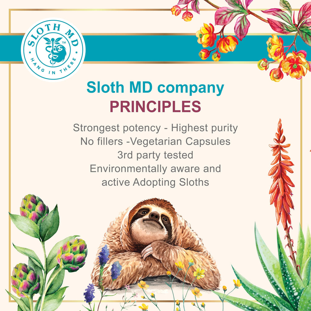SLOTH MD African Aloe Ferox packaging eco-friendly box highlighting sustainable packaging.