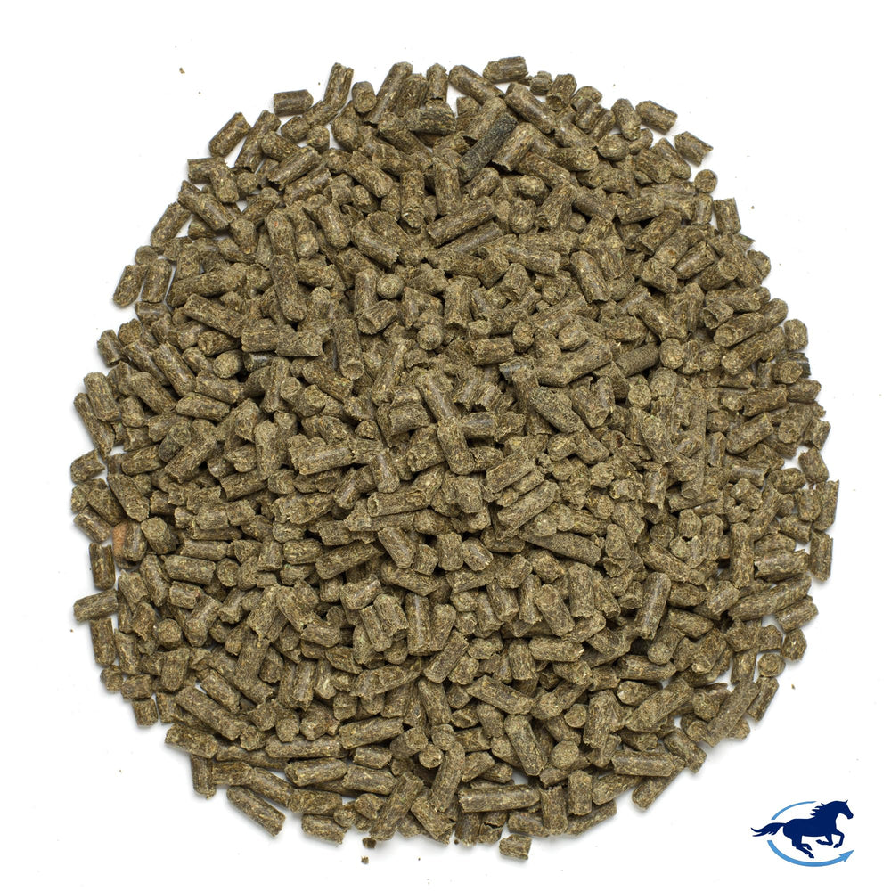 SmartEquine MSM pellets served in a dish for easy daily feeding.