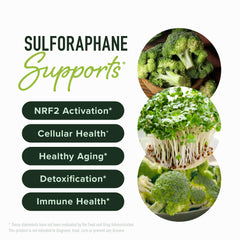 SMNutrition activated sulforaphane capsules with delayed-release delivery
