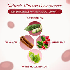 Snap Supplements Blood Sugar Blend label detail highlights vegan and gluten-free quality