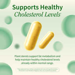 Snap Supplements Cholesterol Health berberine capsules aid daily metabolic wellness.