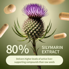 Dandelion root component on label illustrating natural antioxidant-rich ingredients