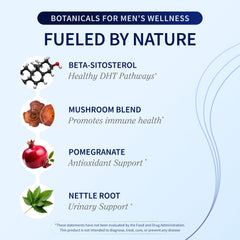 Snap Supplements Reishi mushroom soft chew, close-up highlighting high-potency extract for daily vitality.