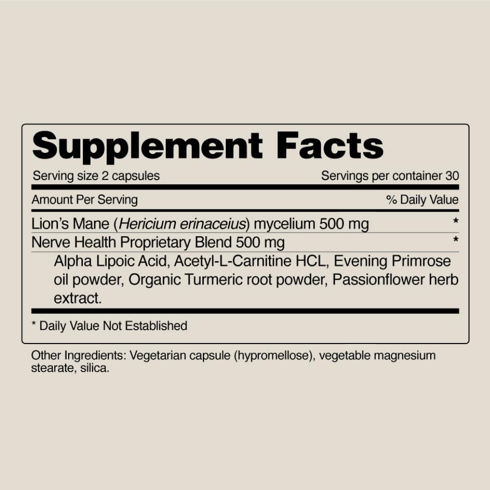Snap Supplements Work desk scene illustrating daily mental wellness routine