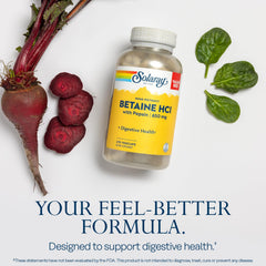 Solaray digestive enzymes capsules image for meal digestion support
