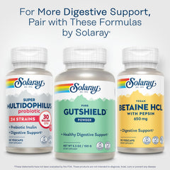 SOLARAY Gutshield eco bottle showcases recycled packaging for a greener choice.