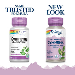 SOLARAY Gymnema Leaf Extract capsules ready for everyday supplementation