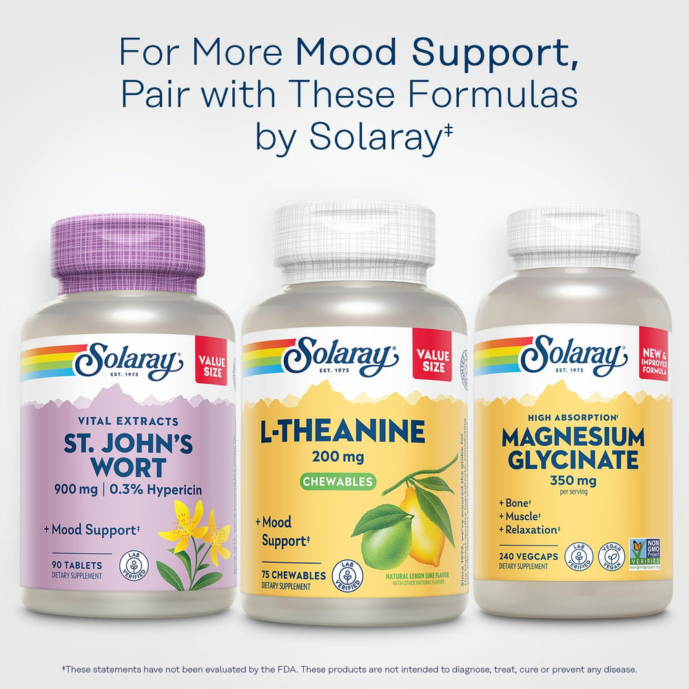 Solaray L-Theanine lemon-lime chews lifestyle shot suggests calm focus.