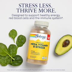 SOLARAY Mega Vitamin B-Stress label with complete ingredient details