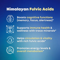 SOLNUVI Irish Sea Moss and Ashwagandha capsules highlighting herbal synergy.