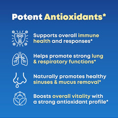 Solnuvi Mullein leaf extract ingredient close-up for respiratory wellness