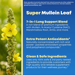 Solnuvi NAC capsule label highlights daily antioxidant support