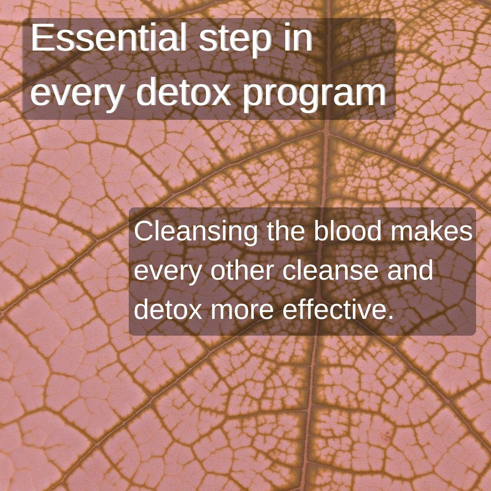 SpeedyVite Blood Lifeboost Tea dry leaf scene for daily wellness vibes.