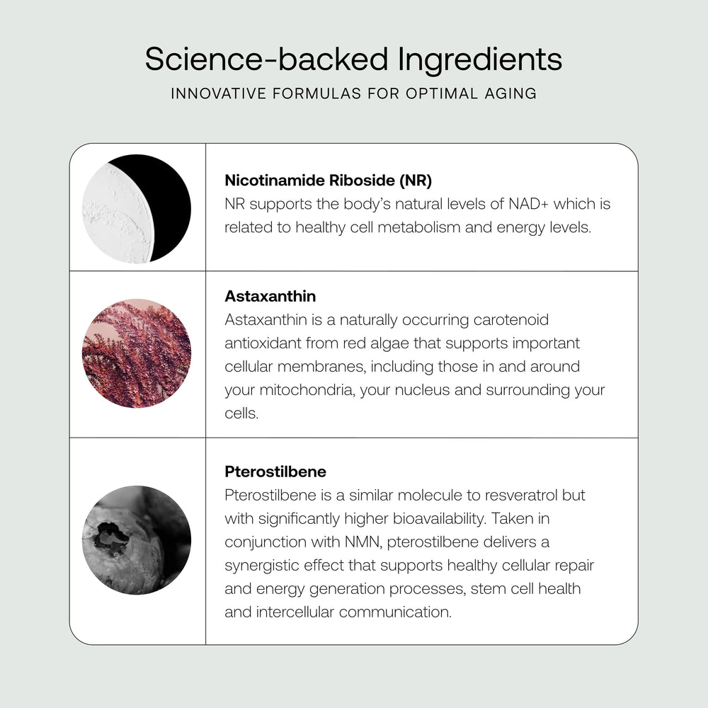 SRW Cel² Nourishment ingredients panel emphasizes liposomal NR delivery and antioxidant protection