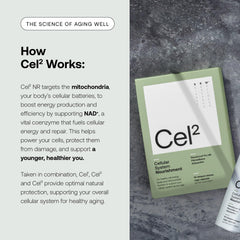 SRW Cel² Nourishment label closeup highlights NR and AquaCelle astaxanthin ingredients