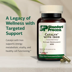 Standard Process Catalyn Iron dosing spoon ready for daily routine.