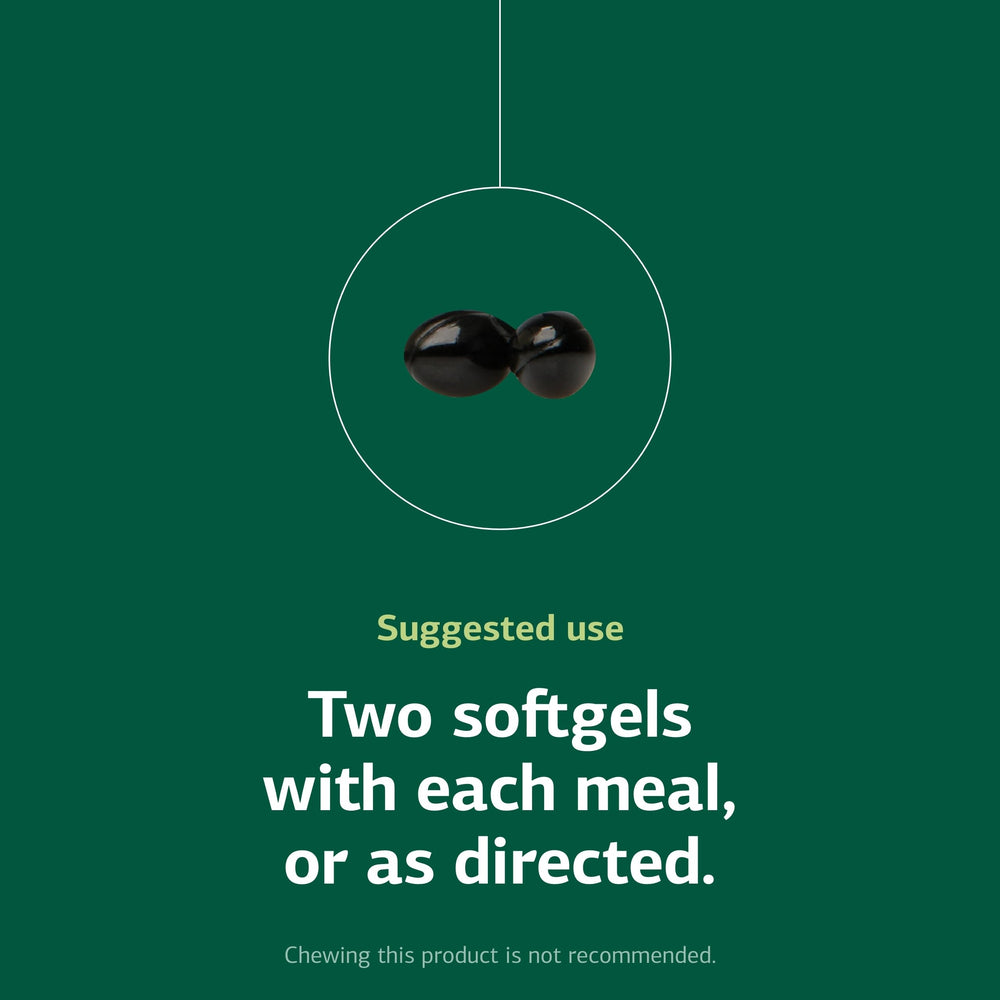 Closeup of Standard Process Chlorophyll Complex capsules highlighting wellness support