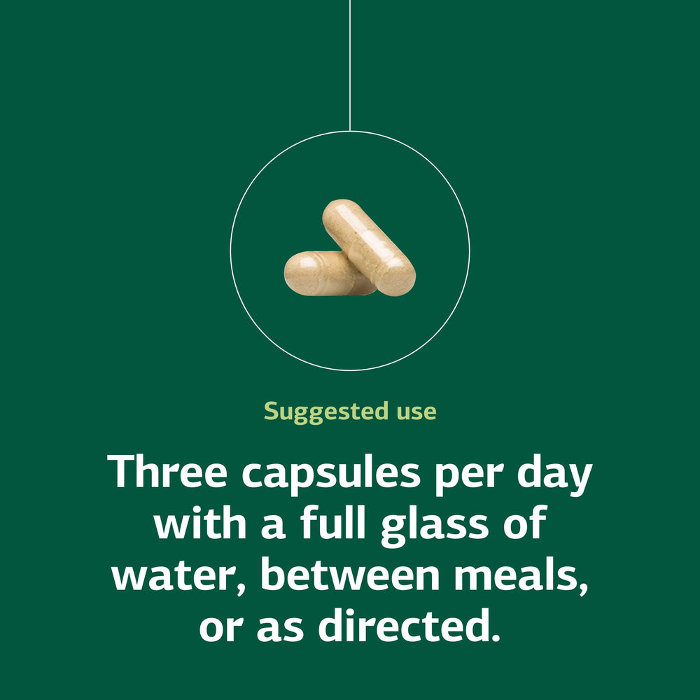 Standard Process Collinsonia Root visuals highlighting bladder support.