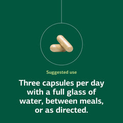 Standard Process Collinsonia Root visuals highlighting bladder support.