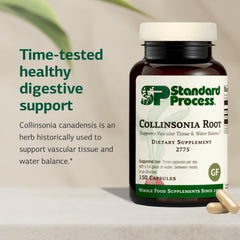 Standard Process Collinsonia Root label close-up showing gluten-free and non-dairy attributes.