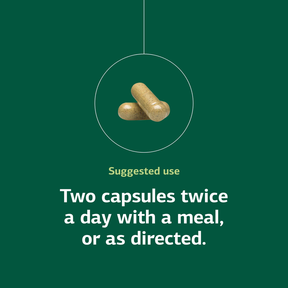 Capsules pictured for convenient intake alongside meals