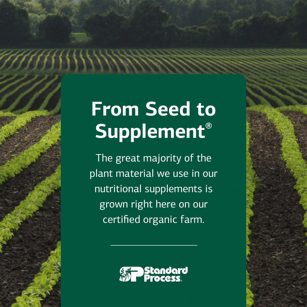 Standard Process folate daily routine setup demonstrates simple supplementation.