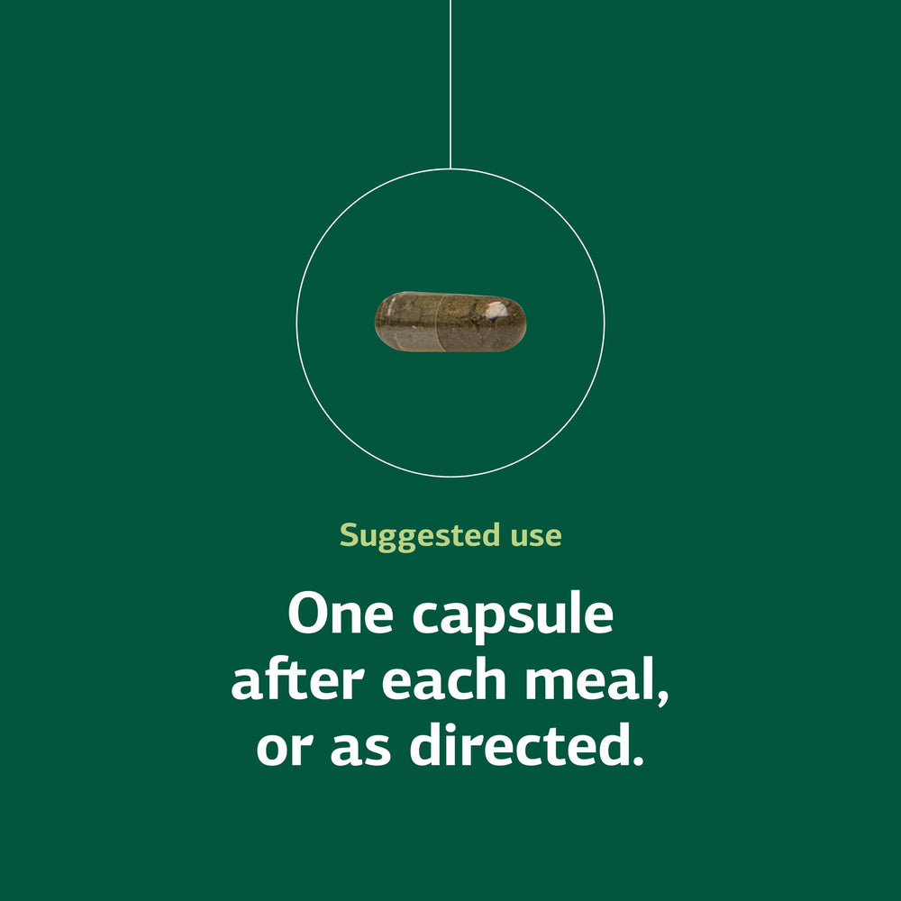 Standard Process Okra Pepsin E3 packaging scene underlines gluten-free and allergy-friendly features